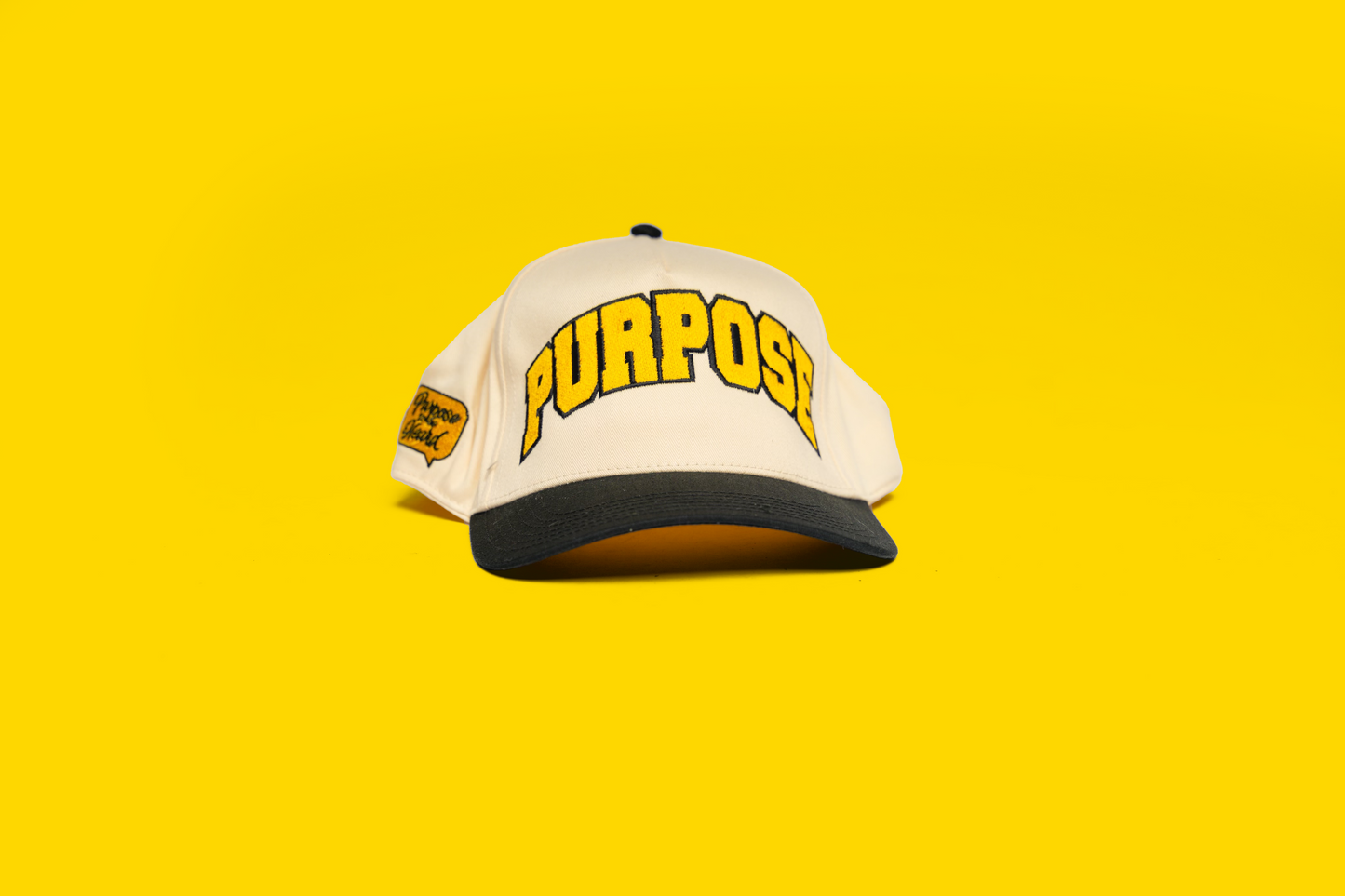 Purpose Snapback